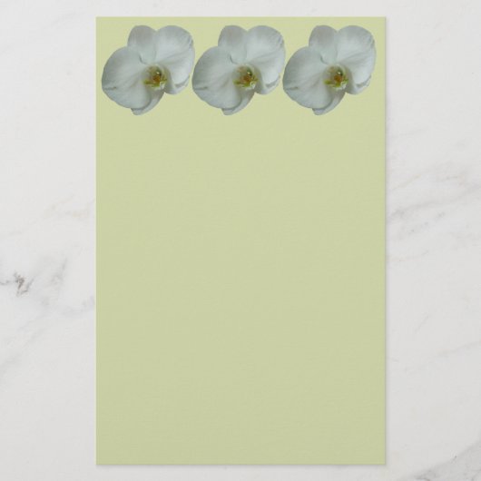 Elegante Blume Weiß Orchid Botanisch Briefpapier (Vorderseite)