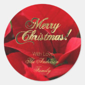 Elegante Blumenweihnachtliche Blume Rote Poinsetti Runder Aufkleber (Vorderseite)