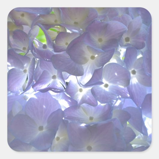 Elegante boho staubige lila Blumenarten Blume Quadratischer Aufkleber (Vorderseite)