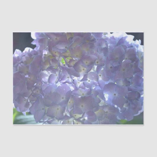 Elegante boho staubige lila Blumenarten Blume Seidenpapier (Vorderseite)