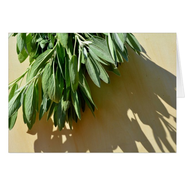 Elegante botanisch-grüne Kräuter Blätter Salbei (Vorderseite (Horizontal))