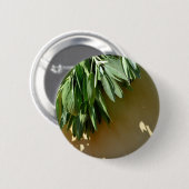 Elegante botanisch-grüne Kräuter Blätter Salbei Button (Vorne & Hinten)