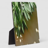 Elegante botanisch-grüne Kräuter Blätter Salbei Fotoplatte (Seite)