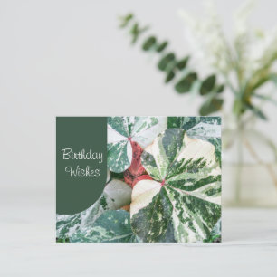 Elegante botanische Geburtstagswünsche Postkarte