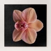 Elegante Botanische Orchideen-Sammlung Poster Puzzle (Horizontal)