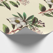 Elegante Botanische Rose Geschenkpapier (Ecke)