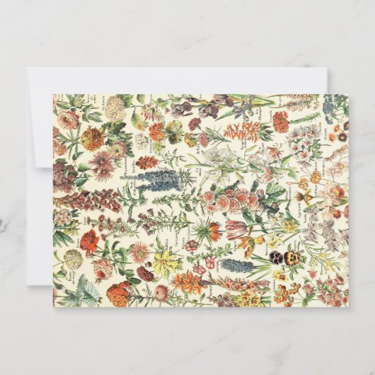 Elegante botanische Wildblume Personalisiert Mitteilungskarte (Rückseite)