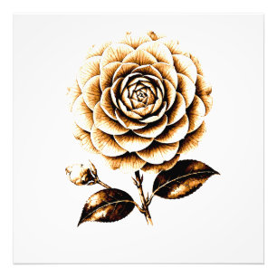 Elegante Bronze-Rosen-Blumenillustration Holz Kuns Fotodruck