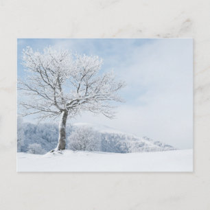 Elegante bunte Reise-Postkarte mit Baum Feiertagspostkarte