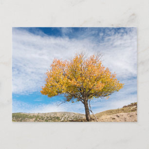 Elegante bunte Reise-Postkarte mit Baum Feiertagspostkarte
