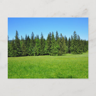 Elegante bunte Reise-Postkarte mit Baum Feiertagspostkarte