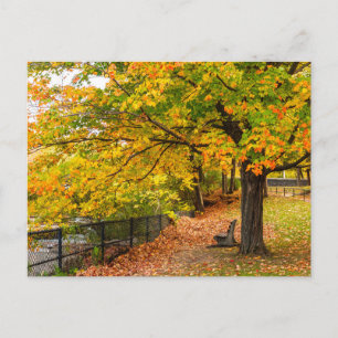 Elegante bunte Reise-Postkarte mit Baum Feiertagspostkarte