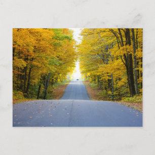 Elegante bunte Reise-Postkarte mit Baum Feiertagspostkarte