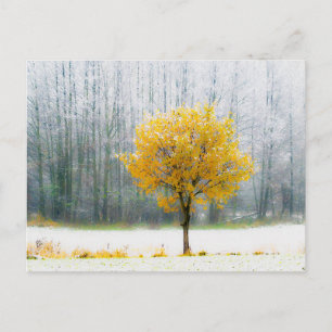 Elegante bunte Reise-Postkarte mit Baum Feiertagspostkarte