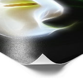 Elegante Calla Lily Blume 13 Moderne Printmedien Fotodruck (Ecke)
