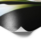Elegante Calla Lily Blume 9 Fotodruck (Ecke)