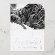 Elegante Cat Foto Collage Silver Foil Holiday Card