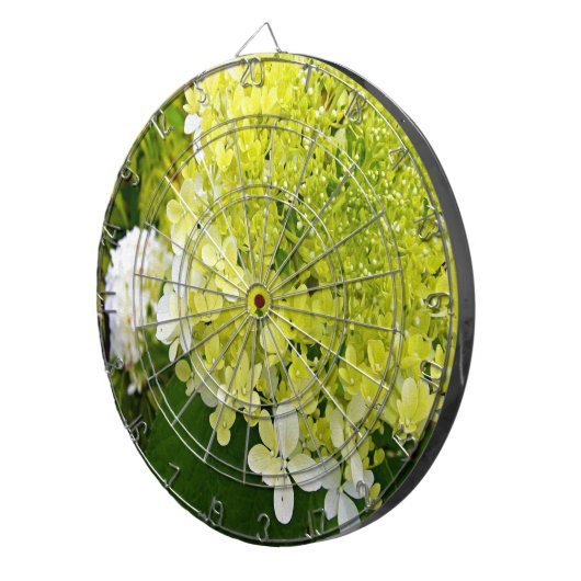 Elegante Chartreuse Green Limelight Hydrangea Dartscheibe (Vorderseite rechts)