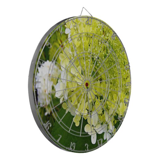 Elegante Chartreuse Green Limelight Hydrangea Dartscheibe (Vorderseite Links)