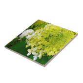 Elegante Chartreuse Green Limelight Hydrangea Fliese (Seite)