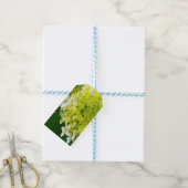 Elegante Chartreuse Green Limelight Hydrangea Geschenkanhänger (Mit Garn)