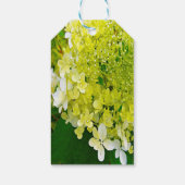 Elegante Chartreuse Green Limelight Hydrangea Geschenkanhänger (Rückseite)