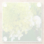 Elegante Chartreuse Green Limelight Hydrangea Glasuntersetzer (Rückseite)