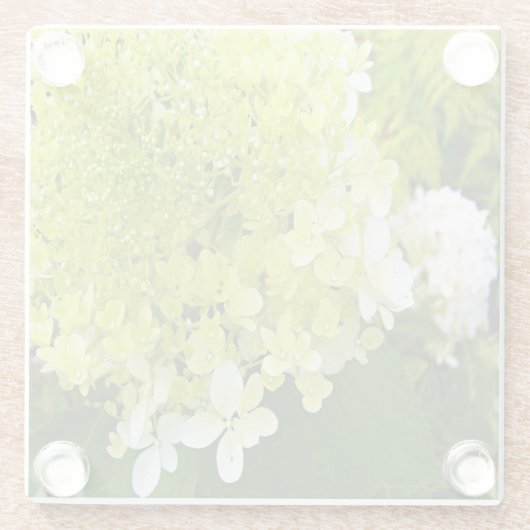 Elegante Chartreuse Green Limelight Hydrangea Glasuntersetzer (Rückseite)