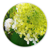 Elegante Chartreuse Green Limelight Hydrangea Keramikknauf (Vorderseite)