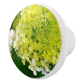 Elegante Chartreuse Green Limelight Hydrangea Keramikknauf