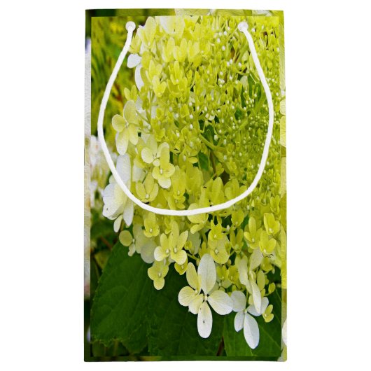 Elegante Chartreuse Green Limelight Hydrangea Kleine Geschenktüte (Rückseite)