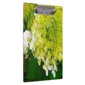 Elegante Chartreuse Green Limelight Hydrangea Klemmbrett (Rechts)