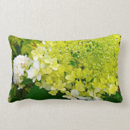 Elegante Chartreuse Green Limelight Hydrangea Lendenkissen