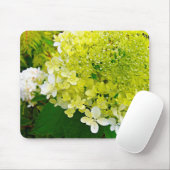 Elegante Chartreuse Green Limelight Hydrangea Mousepad (Mit Mouse)