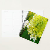 Elegante Chartreuse Green Limelight Hydrangea Planer (Anzeige)