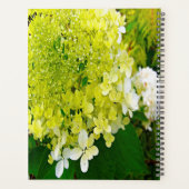 Elegante Chartreuse Green Limelight Hydrangea Planer (Rückseite)