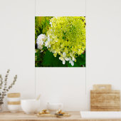 Elegante Chartreuse Green Limelight Hydrangea Poster (Küche)