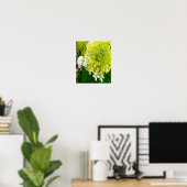 Elegante Chartreuse Green Limelight Hydrangea Poster (Heimbüro)