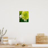 Elegante Chartreuse Green Limelight Hydrangea Poster (Küche)
