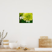 Elegante Chartreuse Green Limelight Hydrangea Poster (Küche)