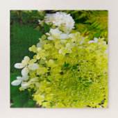 Elegante Chartreuse Green Limelight Hydrangea Puzzle (Horizontal)