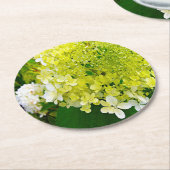 Elegante Chartreuse Green Limelight Hydrangea Runder Pappuntersetzer (Angewinkelt)