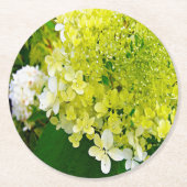 Elegante Chartreuse Green Limelight Hydrangea Runder Pappuntersetzer (Vorderseite)