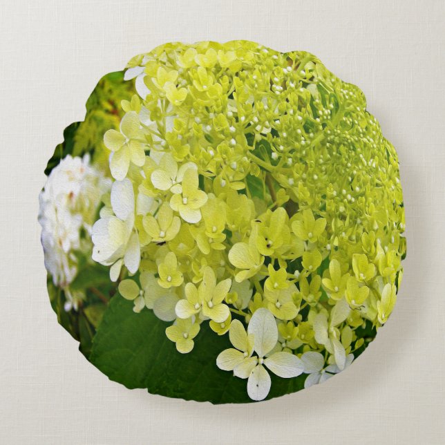 Elegante Chartreuse Green Limelight Hydrangea Rundes Kissen (Vorderseite)