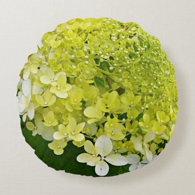 Elegante Chartreuse Green Limelight Hydrangea Rundes Kissen (Vorderseite)