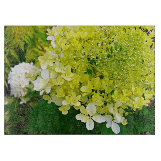 Elegante Chartreuse Green Limelight Hydrangea Schneidebrett (Vorderseite)
