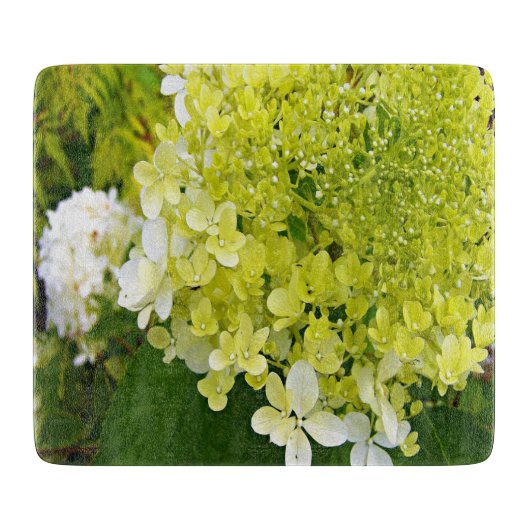 Elegante Chartreuse Green Limelight Hydrangea Schneidebrett (Vorderseite)