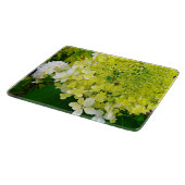 Elegante Chartreuse Green Limelight Hydrangea Schneidebrett (Ecke)