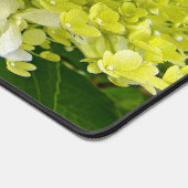 Elegante Chartreuse Green Limelight Hydrangea Schreibtischunterlage (Ecke)