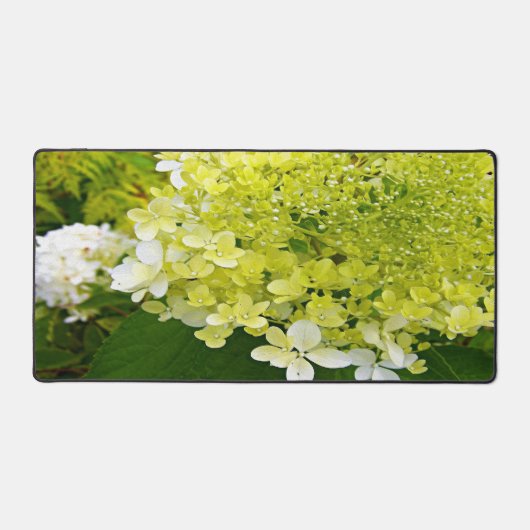Elegante Chartreuse Green Limelight Hydrangea Schreibtischunterlage (Vorderseite)
